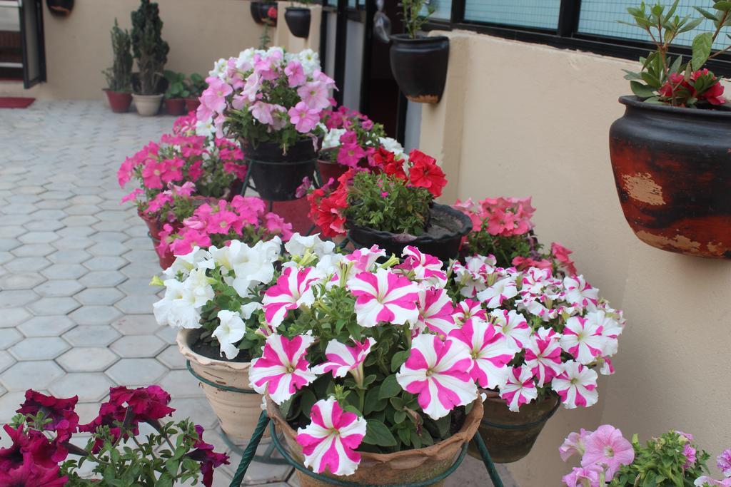 Dipankara Holiday Home Katmandu Kültér fotó
