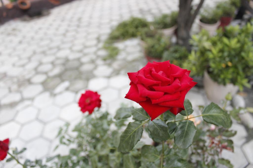Dipankara Holiday Home Katmandu Kültér fotó